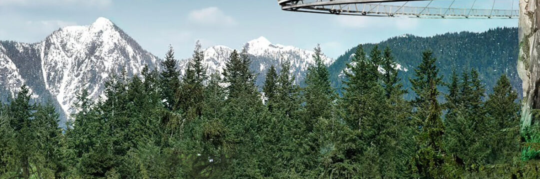 Tour al Norte de Vancouver Tour al Norte de Vancouver