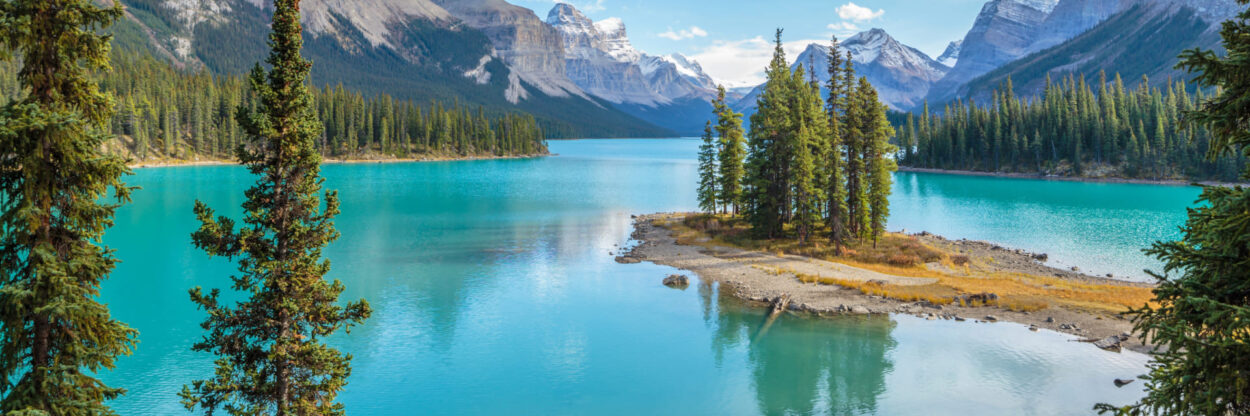 Circuito Calgary a Jasper