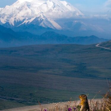 Tour a las Ciudades de Fairbanks, Denali y Anchorage