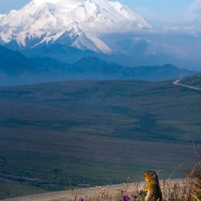 Tour a las Ciudades de Fairbanks, Denali y Anchorage