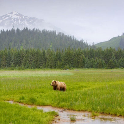 Tour de la Ciudad de Anchorage