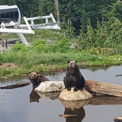 Paquetes Turísticos en Vancouver