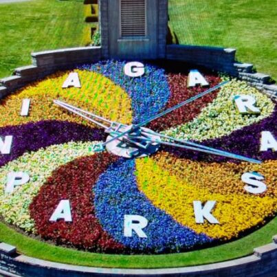 Tour a las Cataratas del Niágara