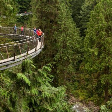 Tour al Norte de Vancouver